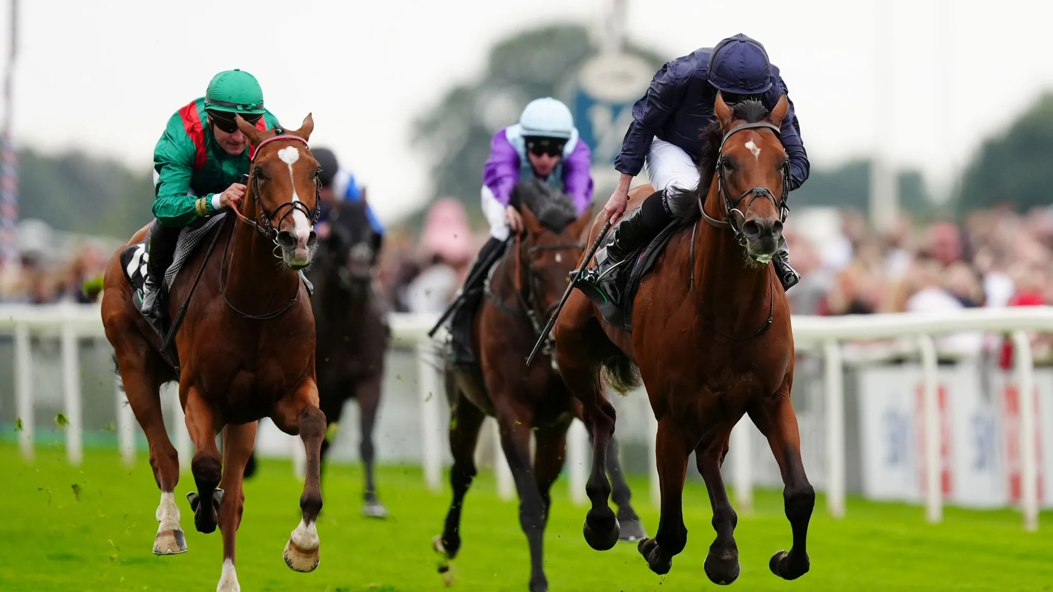 Juddmonte International Stakes Betting Sites Australia 2025 — Best Bookmakers Reviewed guide image